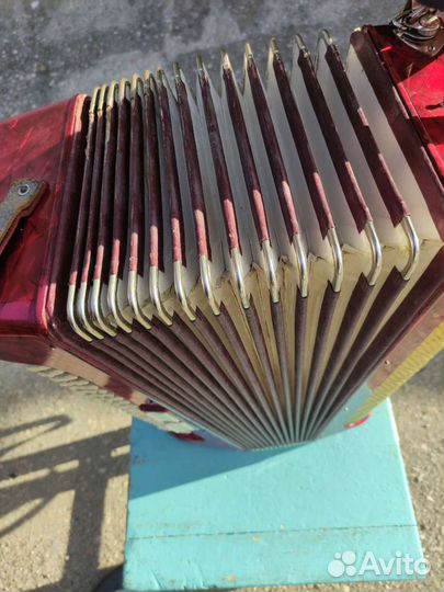Аккордеон