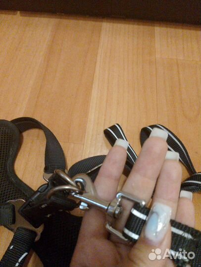 Амуниция для собак из биотана