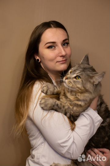 Ветеринарный диетолог / расчет рациона