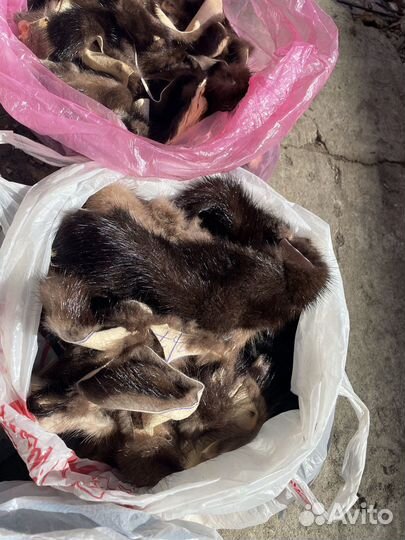 Обрезки шкурок