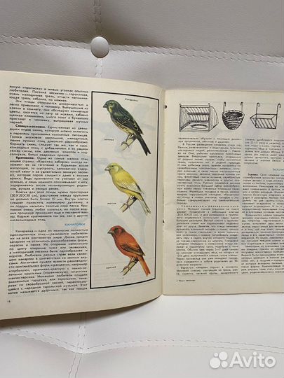 Книга альбом Наши питомцы