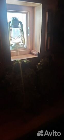 Банщик парильщик пармастер