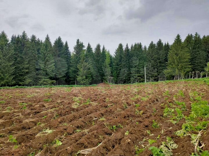 Участок 64,4 сот. (ИЖС)