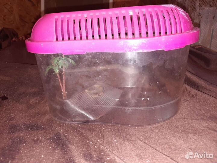 Переноска, аксессуары для черепах