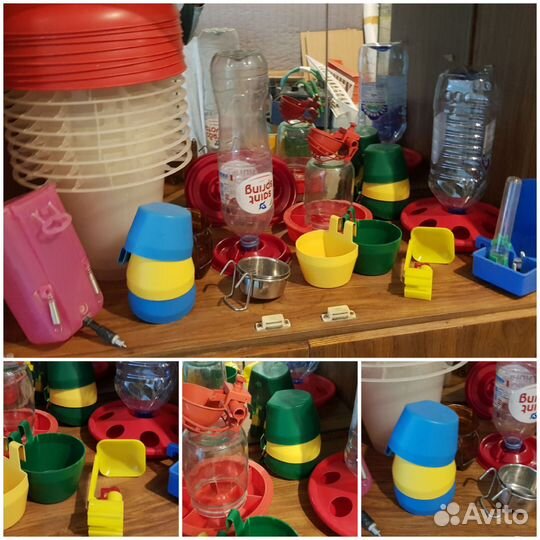 Кормушки и поилки для птицы