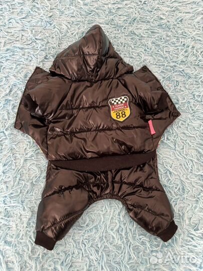 Костюм для собаки