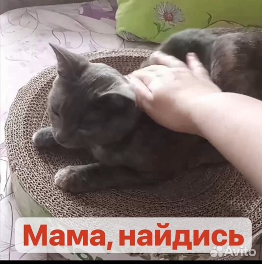 Ласковый ангелочек Верочка