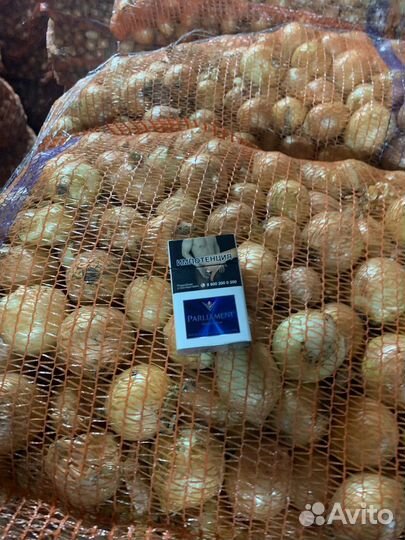 Овощи оптом