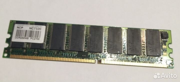 Ddr1 256