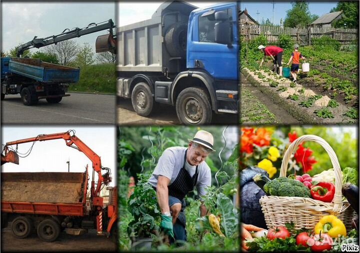 Навоз Конский для сада