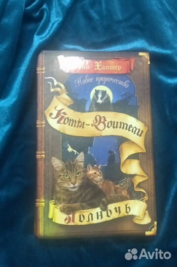 Коты воители. Полночь