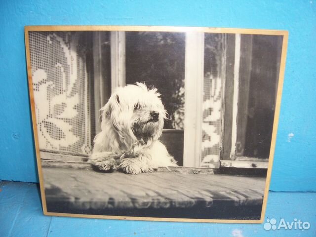 Картина фото на деревянной основе 