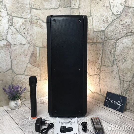 Музыкальная колонка Eltronic 20-10