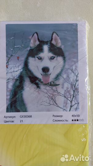 Картина по номерам собака