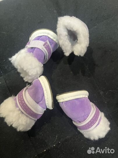 Обувь для маленьких собак