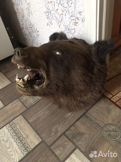 Чучело
