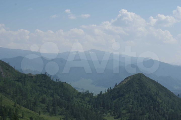 Участок 310 га (СНТ, ДНП)