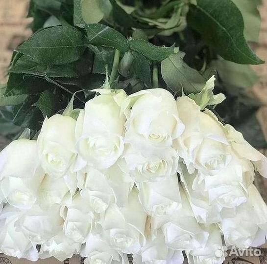 Высокие розы Букеты с доставкой