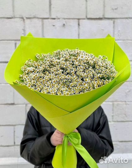 Букеты ромашек