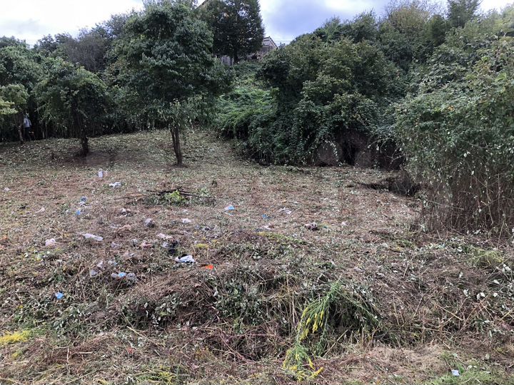 Участок 7,2 сот. (СНТ, ДНП)