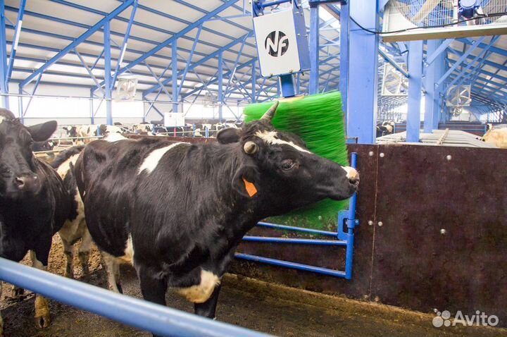 Щетка-чесалка для крс автоматическая New farm