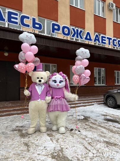 Аниматоры/Ростовые куклы/Выписка из роддома