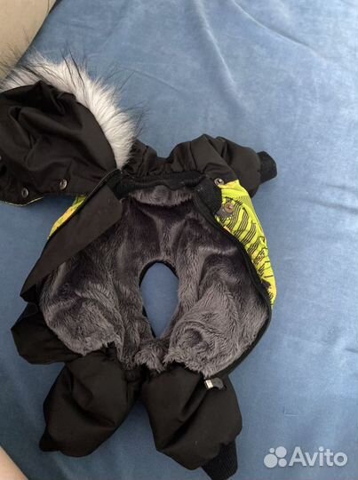 Одежда доя собак