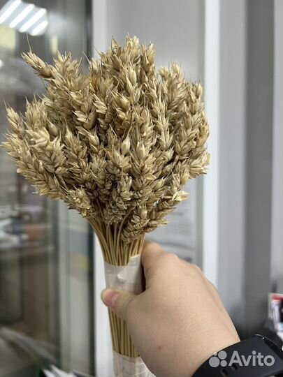 Букет из сухоцветов