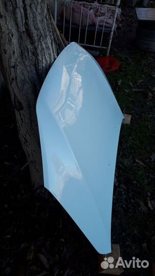 Капот гранта