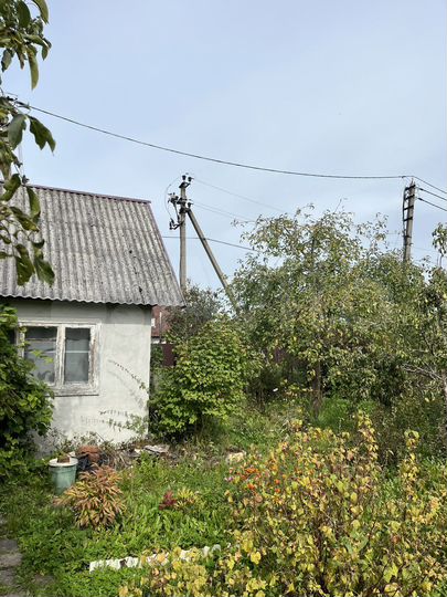 Участок 5,2 сот. (СНТ, ДНП)