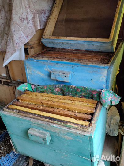 Ульи лежаки