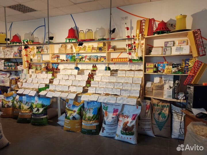 Зерно, комбикорм