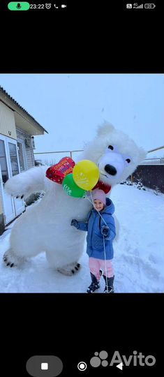 Праздники мероприятия белого медведя