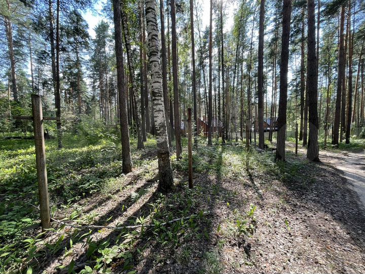 Участок 38 сот. (ИЖС)