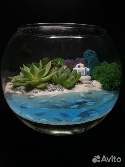 Флорариум с морем