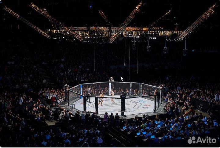 Промоушен Ufa Fights