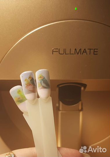 Маникюр, принтер дизайн (Индустриальный район)