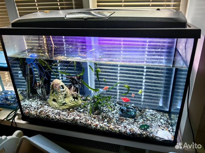 Аквариум