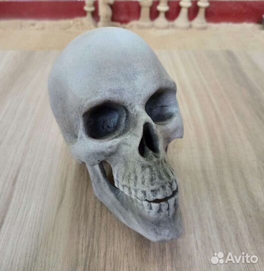 Череп из берëзы