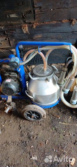 Доильный аппарат для коров