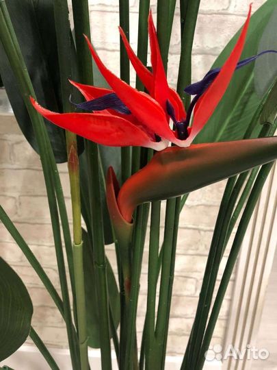 Стрелиция Николая деревья искусственные