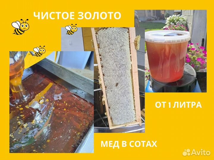 Мёд с пасеки Луговой