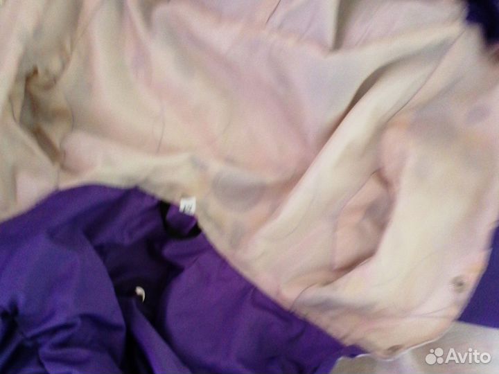 Одежда для собак