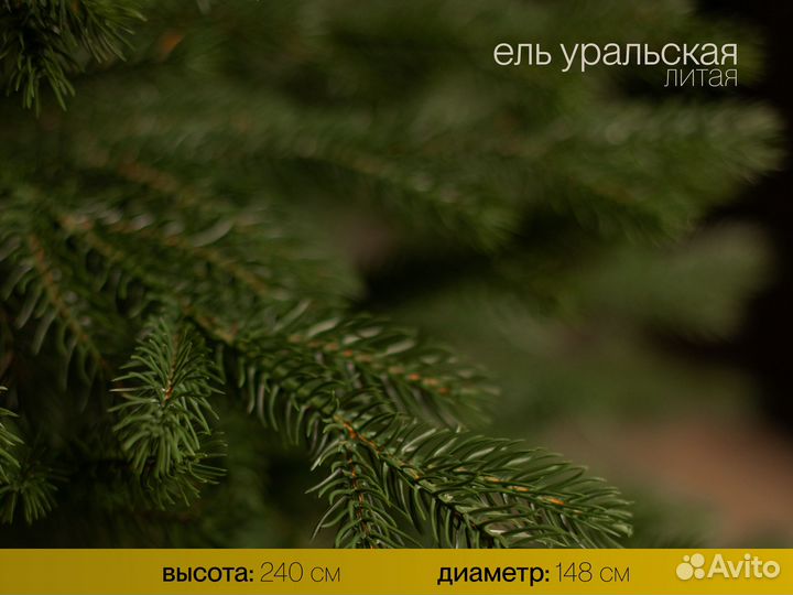 Ёлка Уральская 240 см