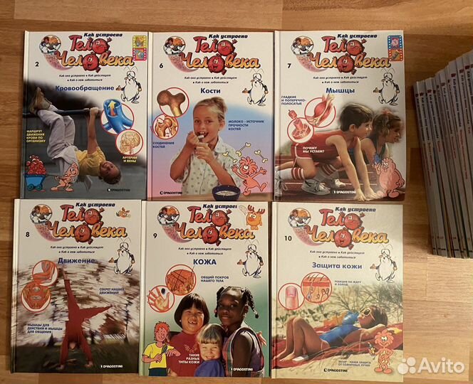 Книги как устроено тело человека