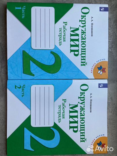 Рабочая тетрадь окоужающий мир 2 класс