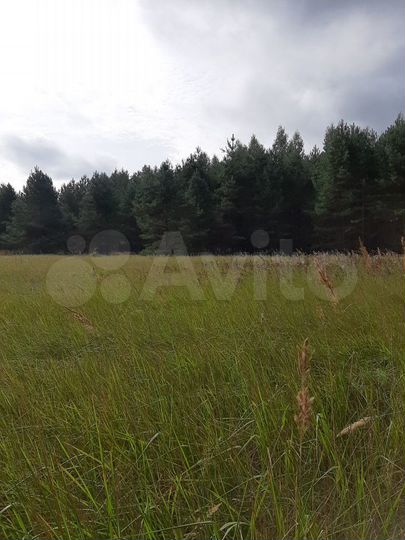 Участок 2 га (ИЖС)