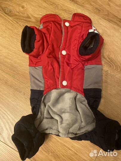 Одежда для собак мелких пород