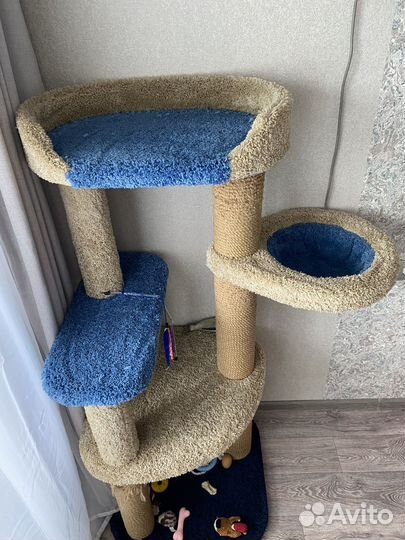 Домик когтеточка, для кошек, комплекс