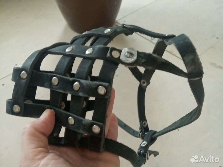 Намордник для собак